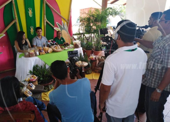 managua-feria-maiz-01 nicaragua