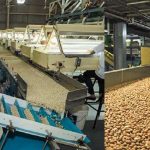 Destinan USD 20 millones para comercializadora de maní en Nicaragua nicaragua