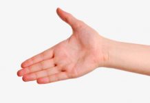 Los homínidos usaron preferentemente la mano derecha antes de lo que se creía