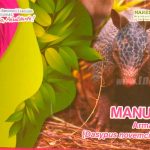 Nicaragua incursiona en el manejo y reproducción del armadillo nicaragua