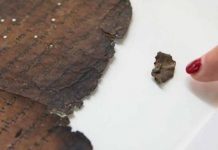 OJO: Tecnología de la NASA identifica manuscrito del mar Muerto nasa