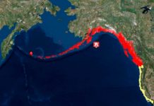 Alerta de tsunami por terremoto de 8,2 en el golfo de Alaska