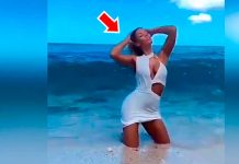 Modelo presume sexy pose frente al mar, pero enorme ola la hunde (VIDEO) modelo