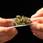 Las mejores apps para el cultivo y consumo de marihuana las mejores