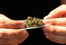 Las mejores apps para el cultivo y consumo de marihuana las mejores