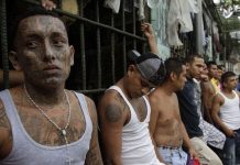 Advierten que maras se están convirtiendo en una «sociedad paralela» el salvador