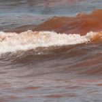 Fenómeno Marea Roja afecta el Pacífico de Nicaragua nicaragua