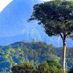 Fondo Nacional de Desarrollo Forestal de la mano con los productores nicaragua