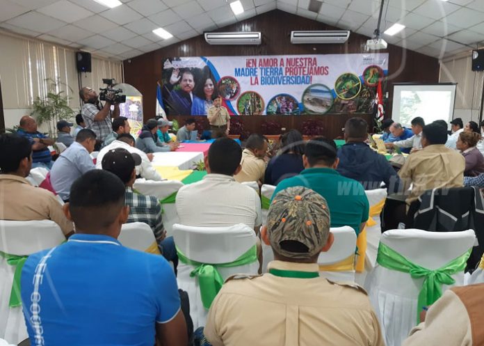 marena-aplicacion-2 nicaragua