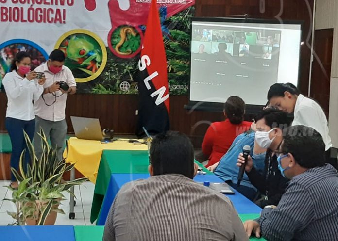 marena-capa-ozono-1 nicaragua