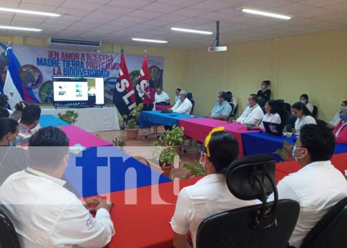 marena-paisaje-3 nicaragua, marena, paisaje, sostenibilidad, naturaleza,