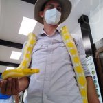 Realizan en Nicaragua Congreso Internacional Virtual sobre Zoocriaderos nicaragua