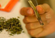 Empresa paga $3 mil al mes por fumar marihuana catador