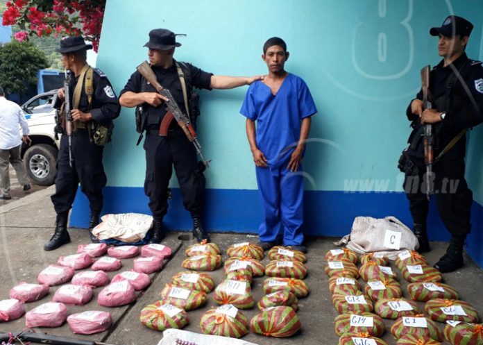 marihuana-ayapal-1 nicaragua