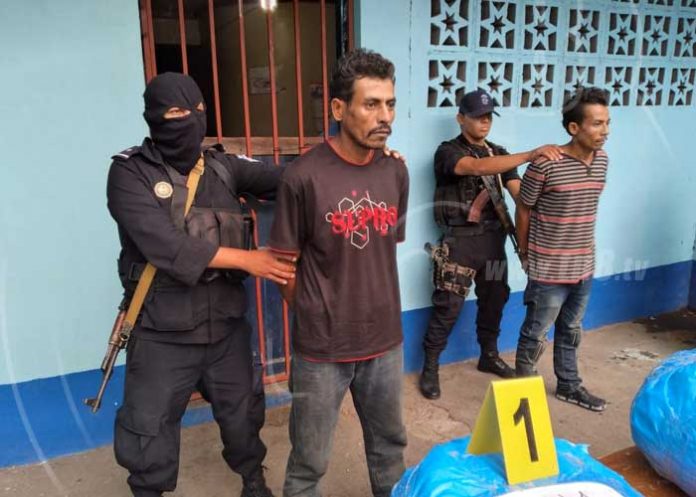 marihuana-ayapal-11 nicaragua