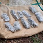 Incautan gran cantidad de marihuana tras allanamiento en Chontales nicaragua