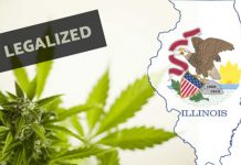 estados unidos