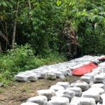 Ejército de Nicaragua incauta 300 tacos de marihuana en Jalapa nicaragua