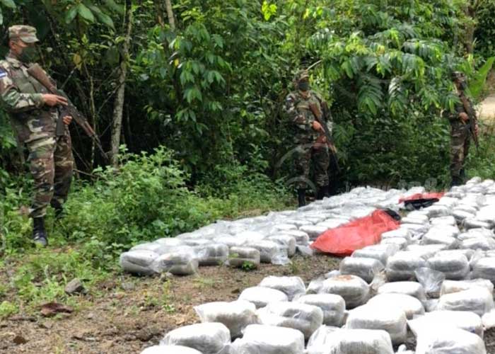 marihuana-incautacion-1 nicaragua