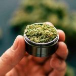 Nueva Jersey aprueba el uso recreativo de la marihuana estados unidos