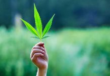 La marihuana, a un paso más cerca de ser legal en Estados Unidos estados unidos