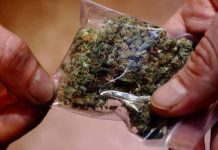 Capturan a 4 personas en El Salvador con más de 9 kilos de marihuana el salvador