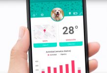 Un localizador inteligente que te permite rastrear y hablar con tu mascota mascotas