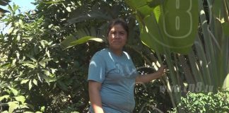nicaragua