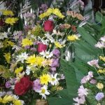 Comercio de flores en Masaya está activado para fin de año nicaragua