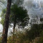 Matagalpa: Reserva de Apante, amenazada por incendio forestal nicaragua