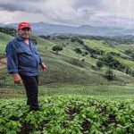 Pujante producción agrícola en fincas de Matagalpa nicaragua