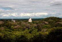 Usan tecnología láser para exhibir tesoros mayas