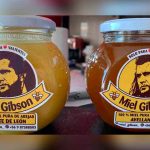 Chilena crea Miel Gibson y ahora enfrenta a abogados del actor chile