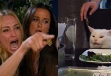 ¿De dónde proviene el meme del gato en la mesa y la mujer gritando? mundo