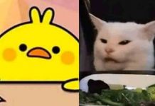 Top de los mejores memes que deja este 2019 memes