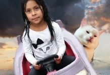 Los mejores memes de la niña que atropelló al gato mundo