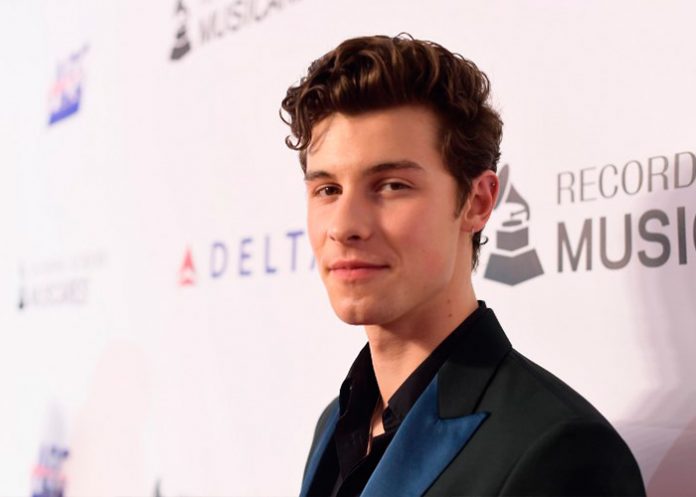 shawn mendes