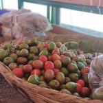 Mercadito Campesino ofrece variedad de frutas y verduras frescas nicaragua