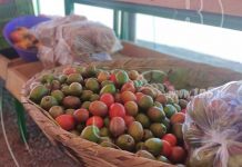 Mercadito Campesino ofrece variedad de frutas y verduras frescas nicaragua