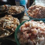 Acopios de mariscos en Nicaragua con gran dinamismo comercial nicaragua