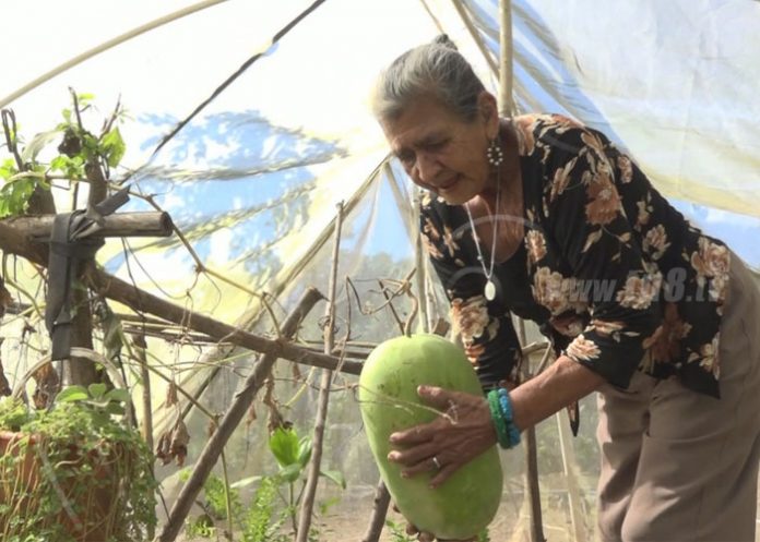 mer1_ZVdjb75 nicaragua