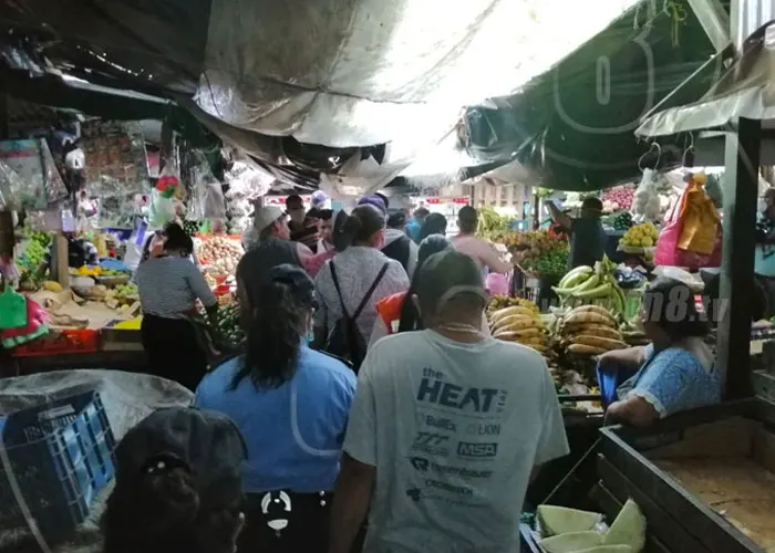 El maíz y el pollo entero bajaron de precio en los mercados de Managua nicaragua