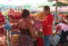 Mercadito Campesino de Managua con variedad de productos a bajos precios nicaragua