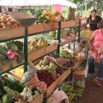 Familias de Managua ahorran con el mercadito campesino nicaragua