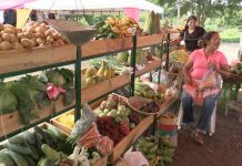 Familias de Managua ahorran con el mercadito campesino nicaragua