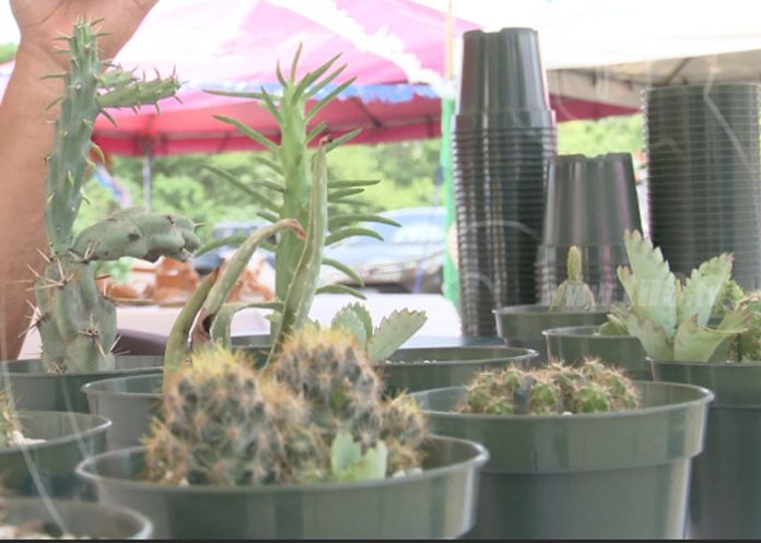 mercado-campesino-13 nicaragua