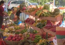 Ahorrá dinero y hacé tus compras en el Mercadito Campesino nicaragua