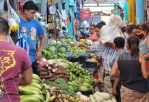 Frutas, verduras y carnes con precios estables en el Mercado Candelaria nicaragua