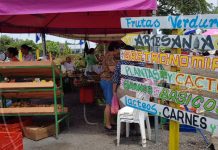 Oferta variada en el Mercadito Campesino de Managua nicaragua