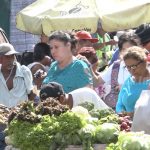 Sondeo: Precios estables en la canasta básica de Nicaragua nicaragua